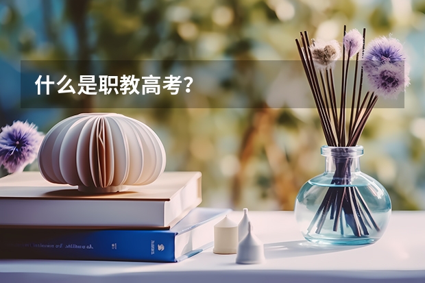 什么是职教高考？