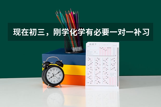 现在初三，刚学化学有必要一对一补习吗？
