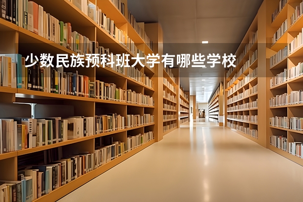 少数民族预科班大学有哪些学校