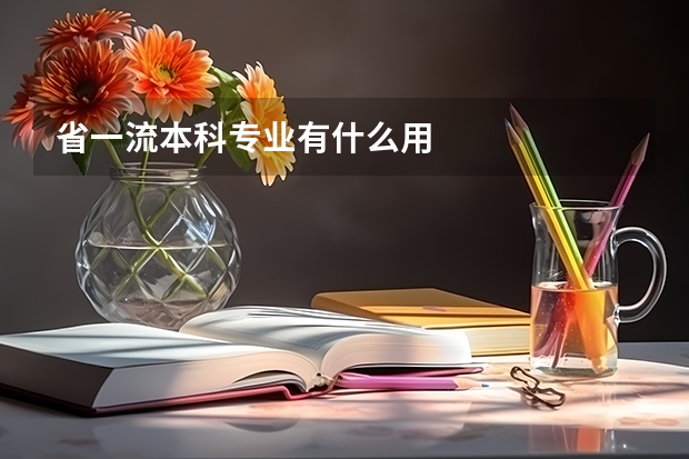 省一流本科专业有什么用