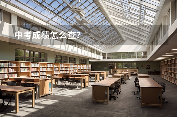 中考成绩怎么查？