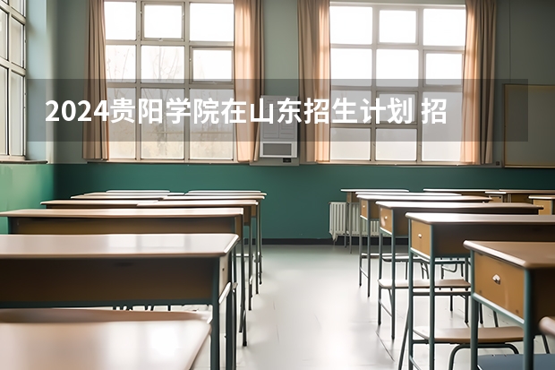 2024贵阳学院在山东招生计划 招多少人