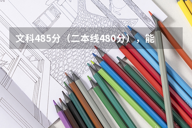 文科485分（二本线480分），能报四川在成都的什么大学？谢谢
