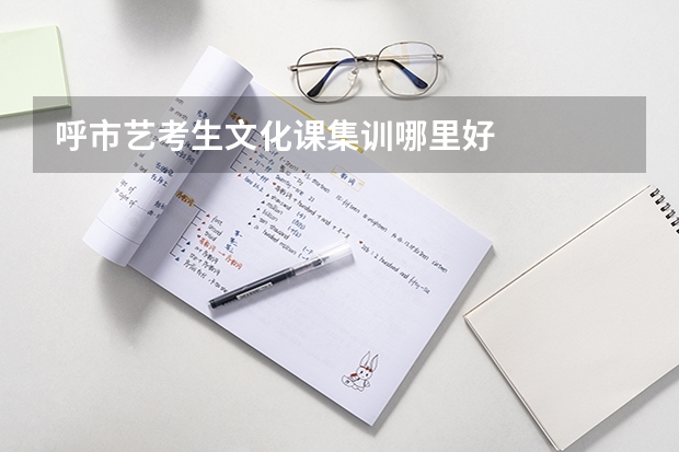 呼市艺考生文化课集训哪里好