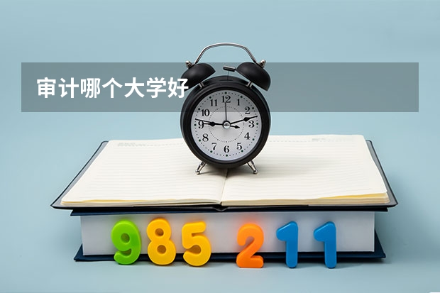 审计哪个大学好