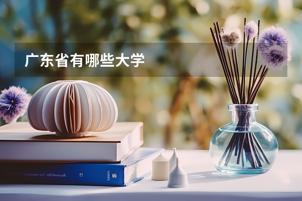 广东省有哪些大学
