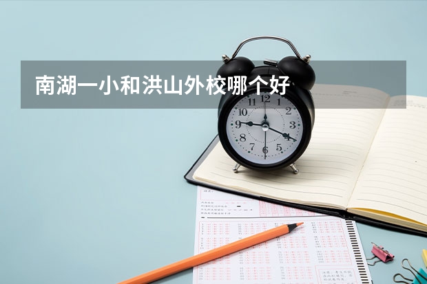 南湖一小和洪山外校哪个好
