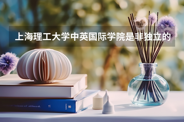 上海理工大学中英国际学院是非独立的二级学院？怎么区分独立与非独立二级学院？