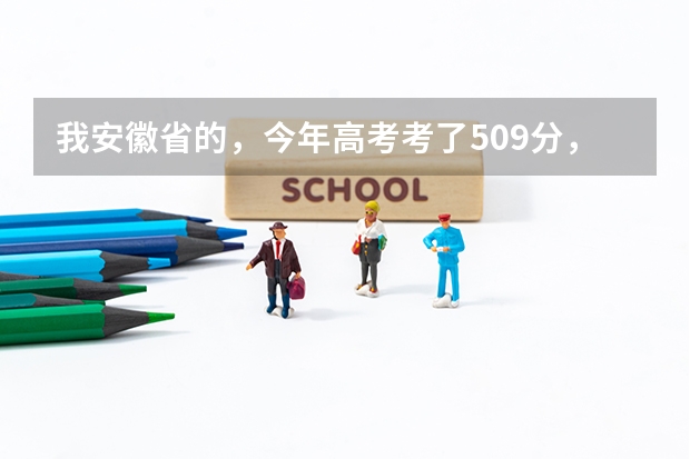 我安徽省的，今年高考考了509分，我是文科生，比二本线高8分，请问我能在安徽省内上哪些比较好的学校？