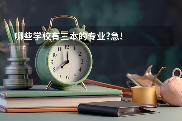 哪些学校有三本的专业?急!