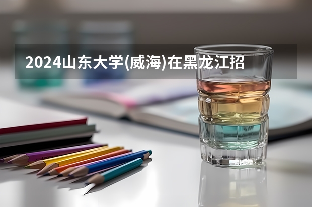 2024山东大学(威海)在黑龙江招生计划 招多少人