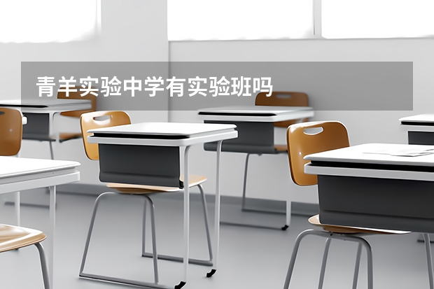 青羊实验中学有实验班吗