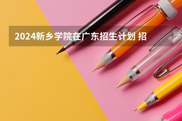 2024新乡学院在广东招生计划 招多少人