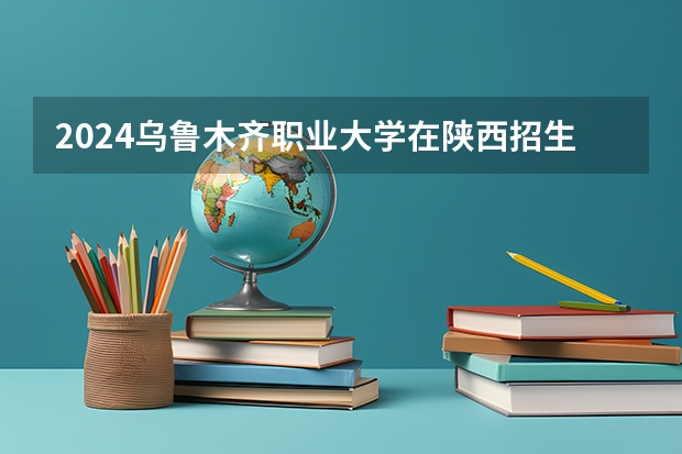 2024乌鲁木齐职业大学在陕西招生计划 招多少人