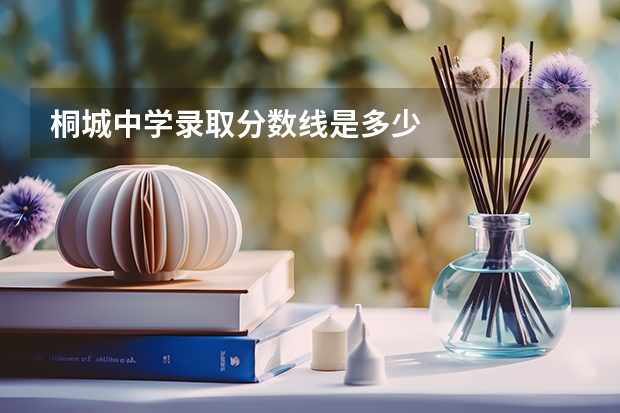 桐城中学录取分数线是多少