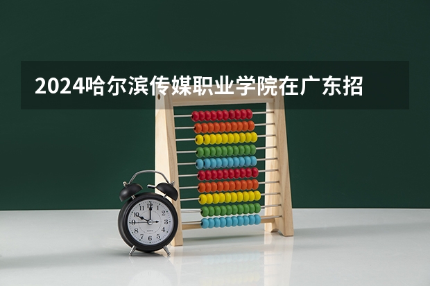 2024哈尔滨传媒职业学院在广东招生计划 招多少人