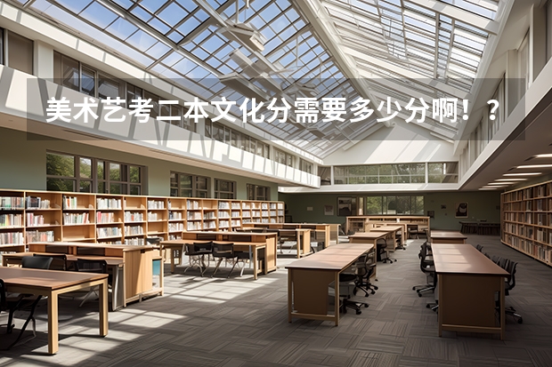 美术艺考二本文化分需要多少分啊！？