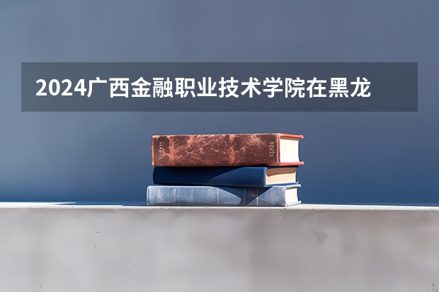 2024广西金融职业技术学院在黑龙江招生计划 招多少人
