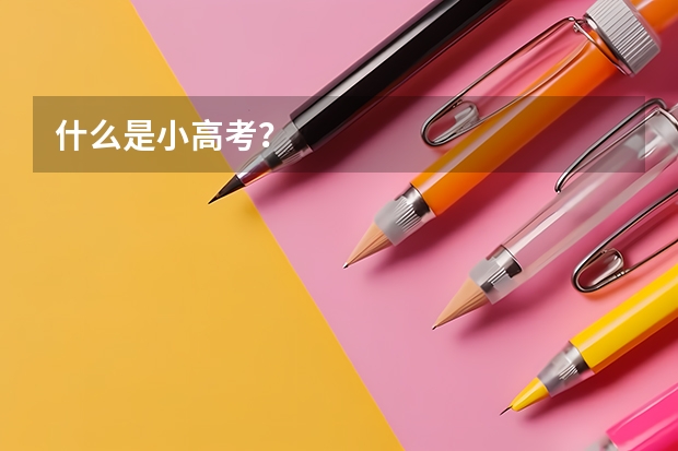 什么是小高考？