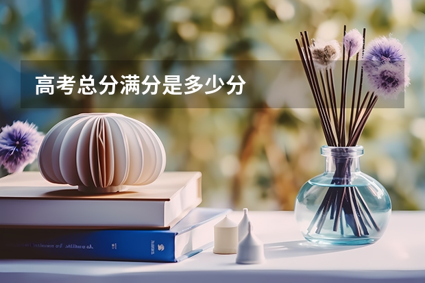 高考总分满分是多少分
