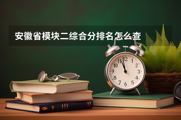 安徽省模块二综合分排名怎么查