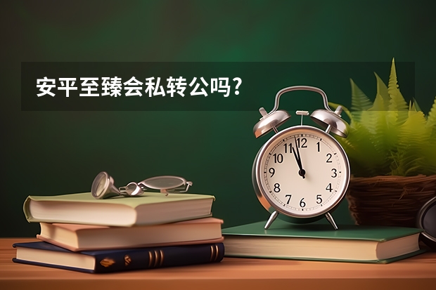 安平至臻会私转公吗?