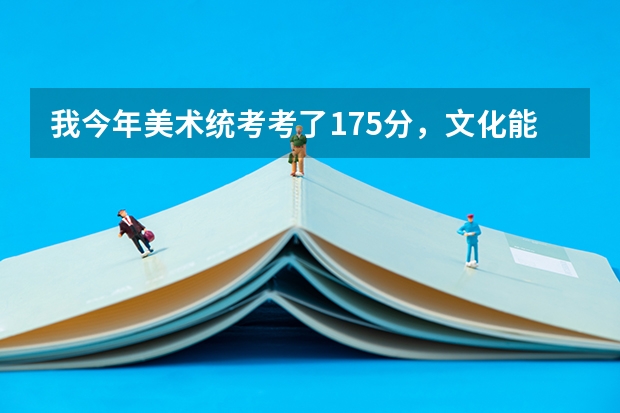 我今年美术统考考了175分,文化能考220分,请问能上哪些大专?