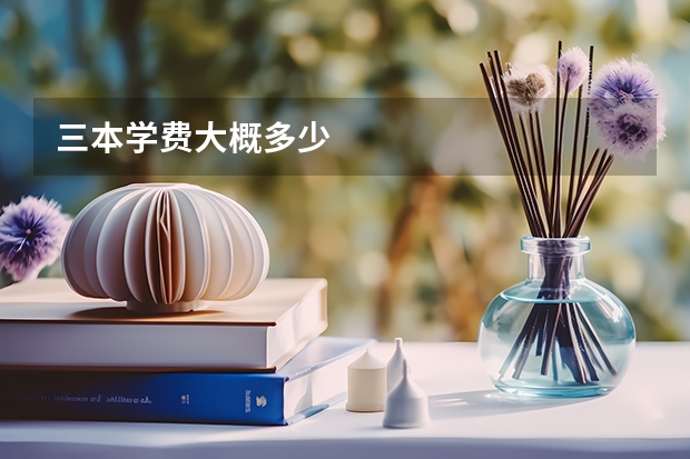 三本学费大概多少