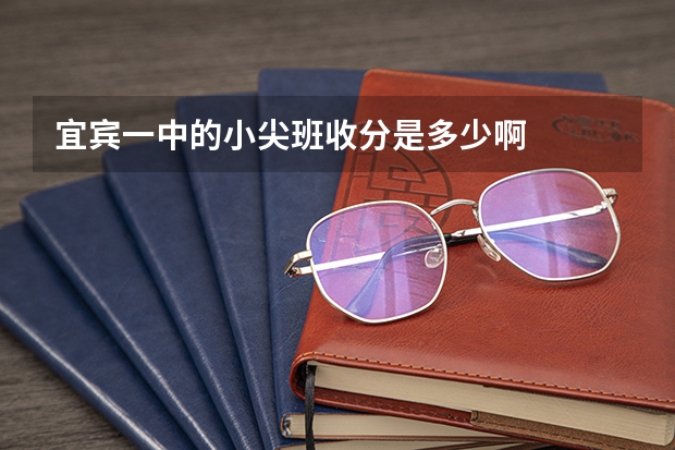 宜宾一中的小尖班收分是多少啊