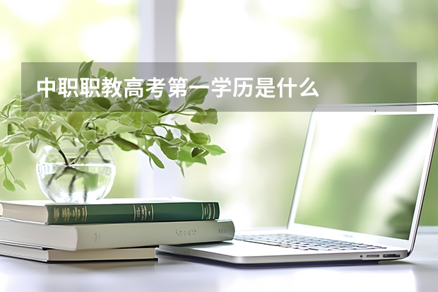 中职职教高考第一学历是什么