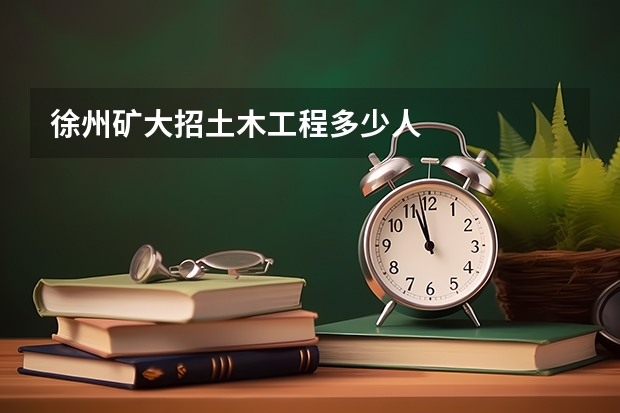 徐州矿大招土木工程多少人