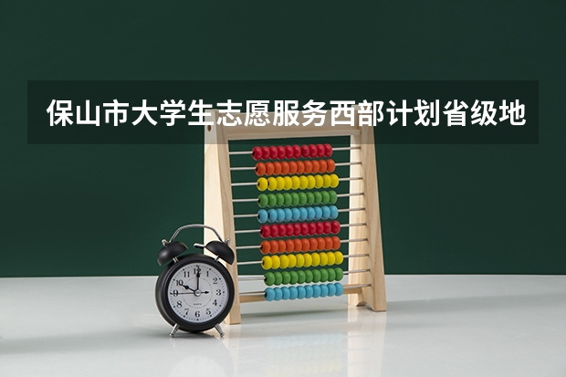 保山市大学生志愿服务西部计划省级地方项目志愿者招募多少人?