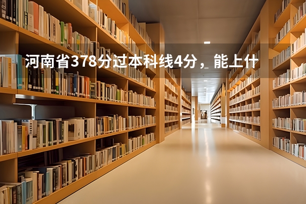 河南省378分过本科线4分，能上什么本科学校？