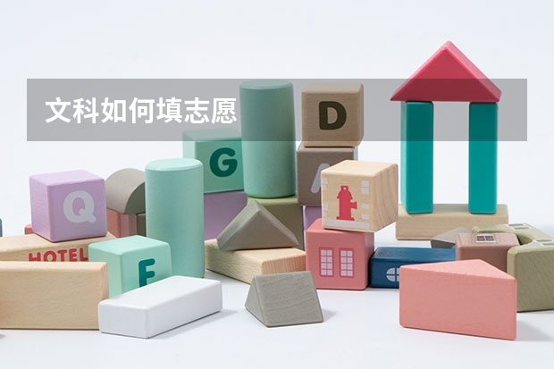 文科如何填志愿