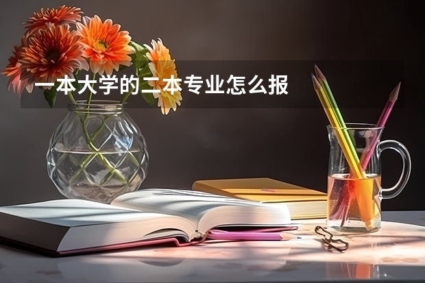 一本大学的二本专业怎么报