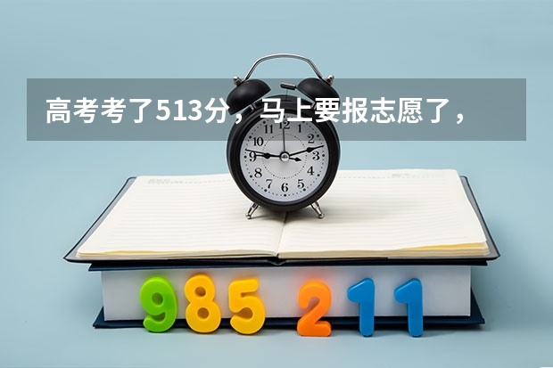 高考考了513分，马上要报志愿了，该报哪里啊，本科二批