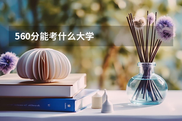 560分能考什么大学