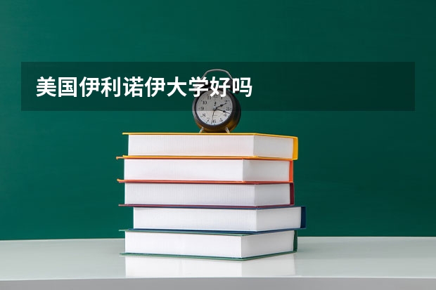 美国伊利诺伊大学好吗