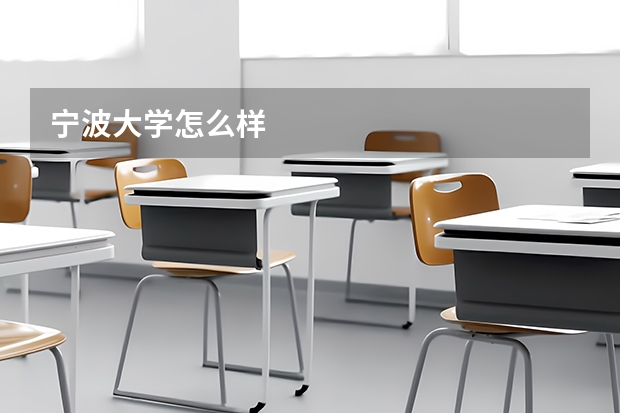 宁波大学怎么样