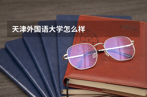 天津外国语大学怎么样