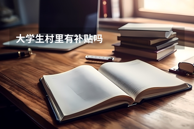 大学生村里有补贴吗