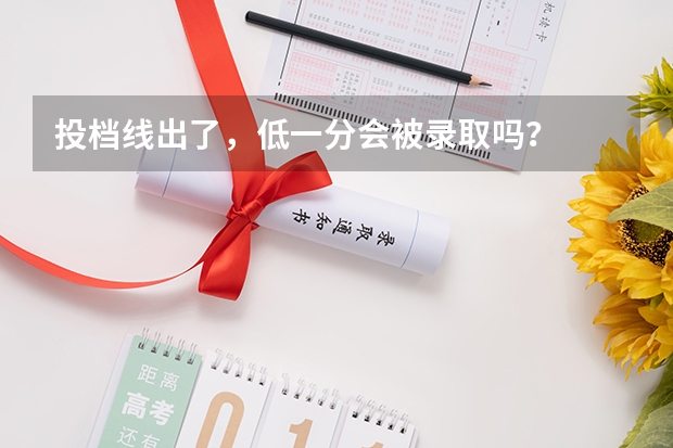投档线出了，低一分会被录取吗？