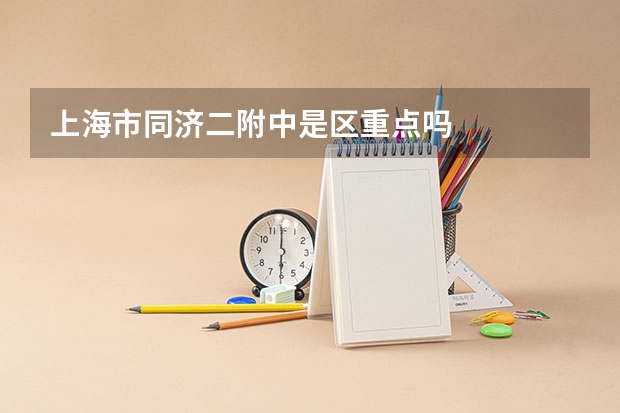 上海市同济二附中是区重点吗
