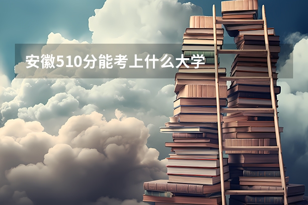 安徽510分能考上什么大学