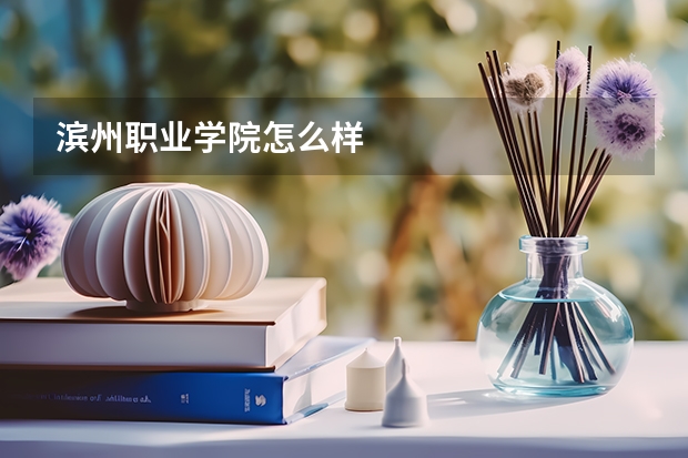 滨州职业学院怎么样