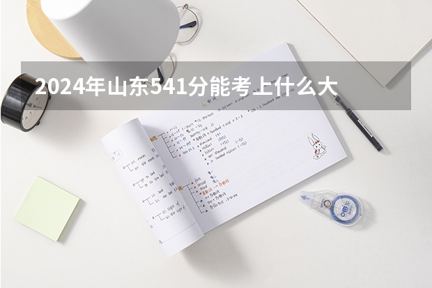 2024年山东541分能考上什么大学?