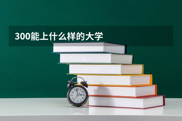 300能上什么样的大学