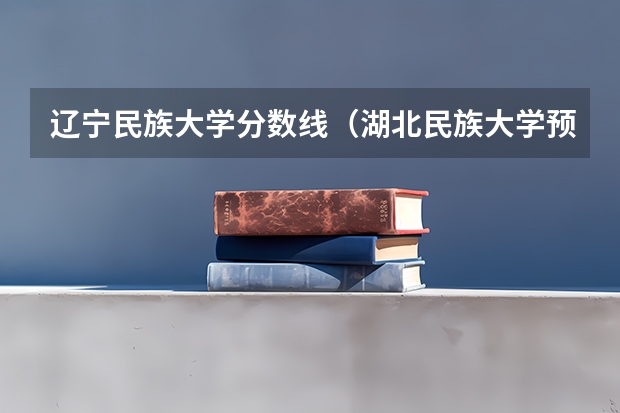 辽宁民族大学分数线（湖北民族大学预科班分数线2023）