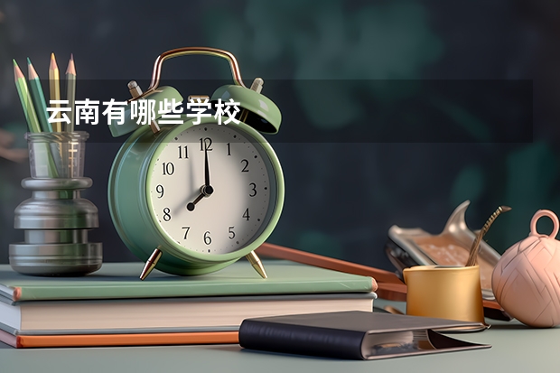云南有哪些学校