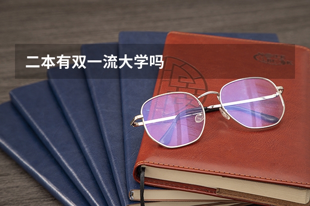 二本有双一流大学吗